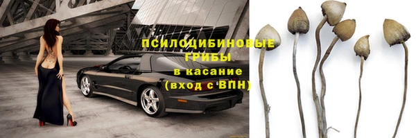 трава Надым