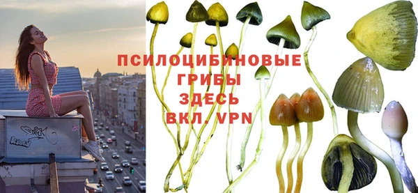 мдпв Михайловск