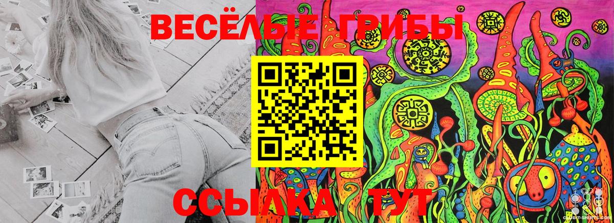 Псилоцибиновые грибы MAGIC MUSHROOMS  Вход с VPN  Партизанск 