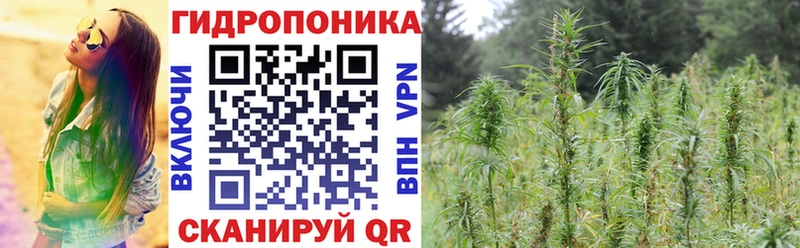 где купить наркотик Партизанск kraken маркетплейс Конопля White Widow